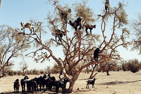 Tour image 1