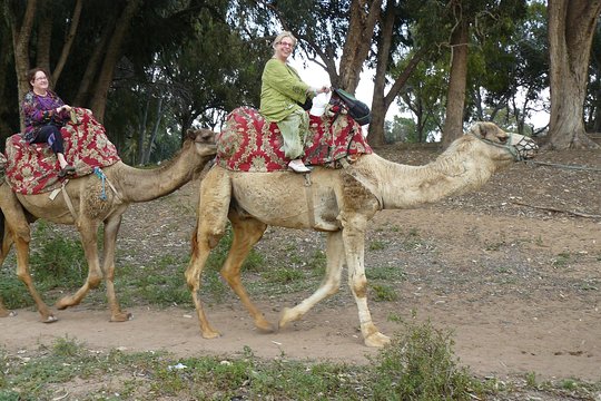 Tour image 10