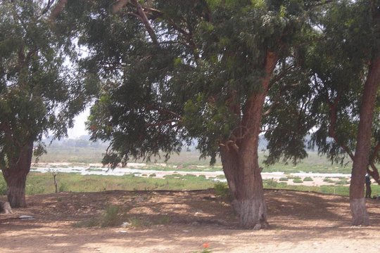 Tour image 8
