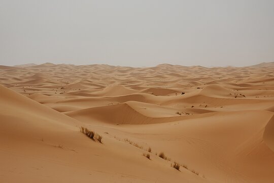 Tour image 3