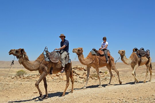 Tour image 3