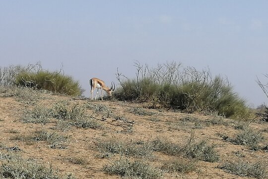 Tour image 10